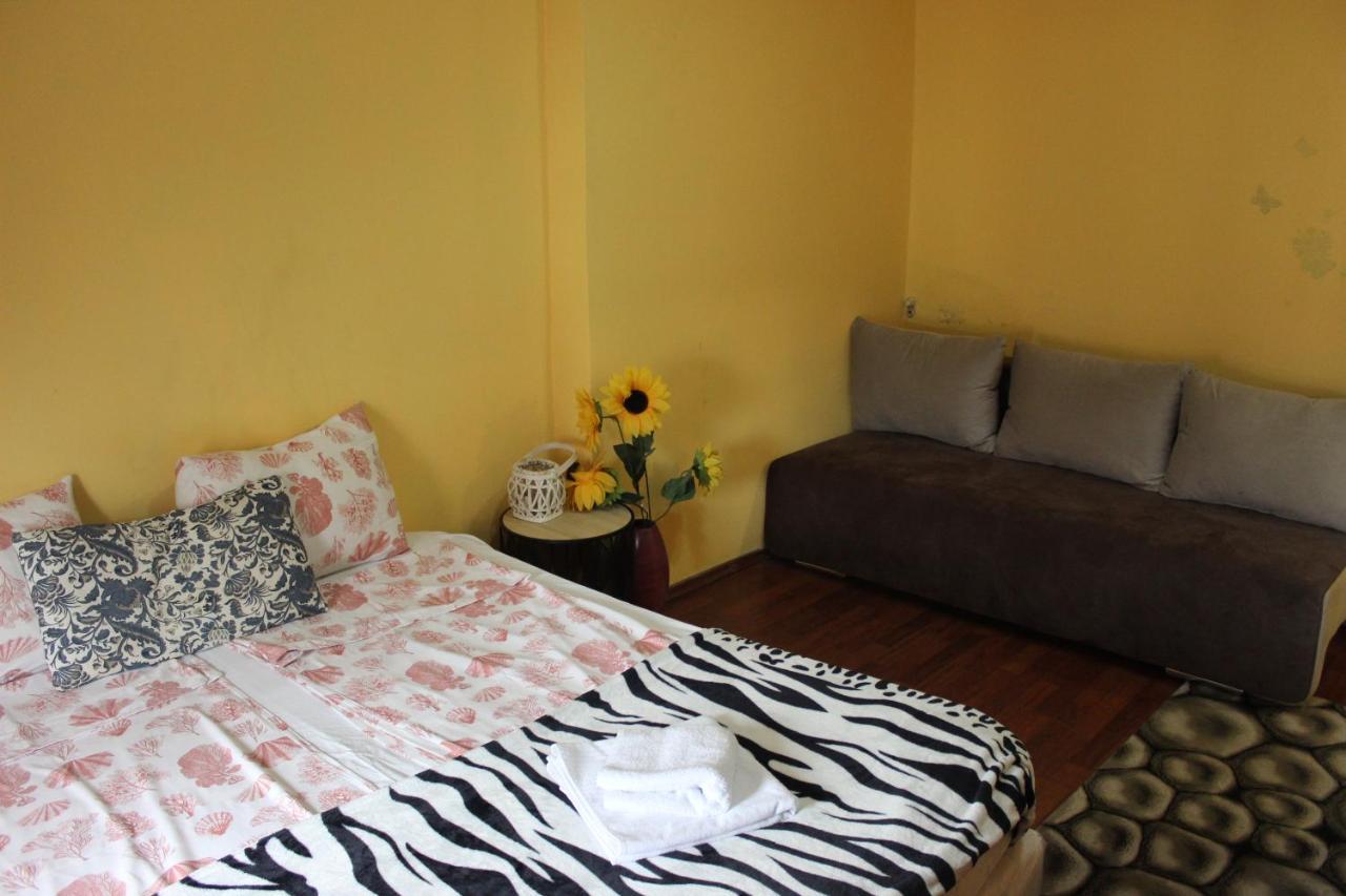 Vitoshka Biggest Apartment ソフィア エクステリア 写真