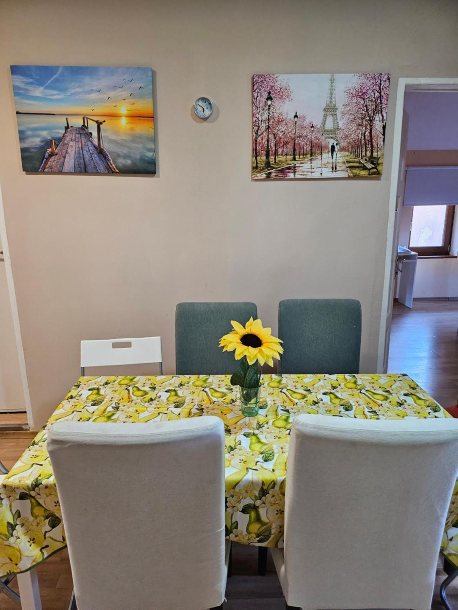 Vitoshka Biggest Apartment ソフィア エクステリア 写真